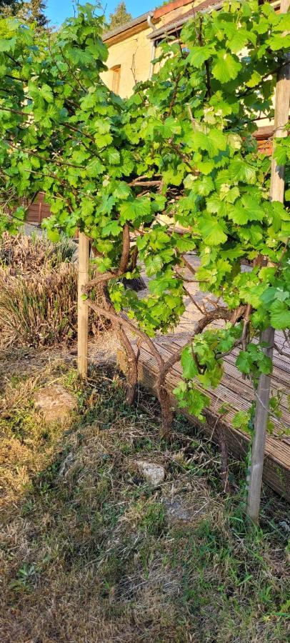 卡尔萨克阿亚克 La Boissiere, Le Domaine De Brugal酒店 外观 照片